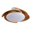 Ventiladores Plafón