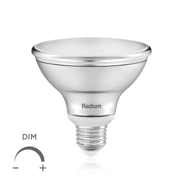 bombilla_par30_dim_radium_01.jpg