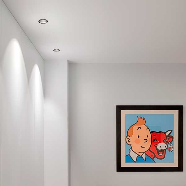downlight_swap_asym_02.jpg
