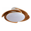 Ventiladores Plafón