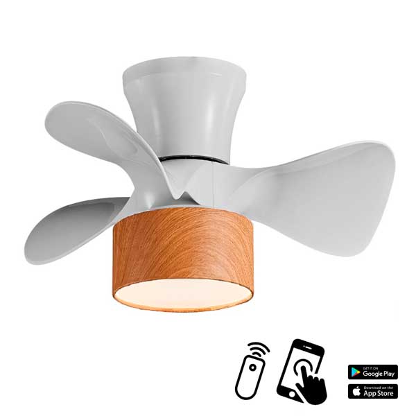 jueric_fly_10437fan_blancohaya_woodwhite.jpg