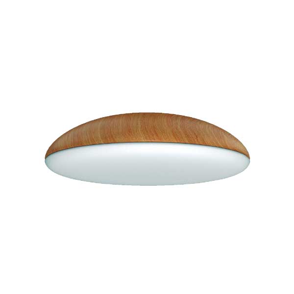 kazz_plafon_8136_madera.jpg