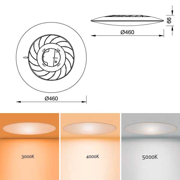 slim_50w_dimensiones.jpg